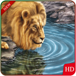 Animal &amp; Birds Wallpapers icon