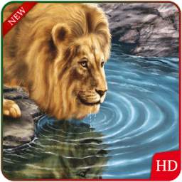 Animal & Birds Wallpapers 1.5