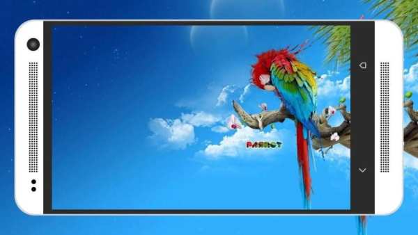 Animal & Birds Wallpapers screenshot 4