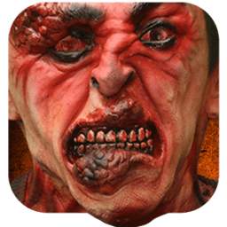 Live Monster Camera 1.3