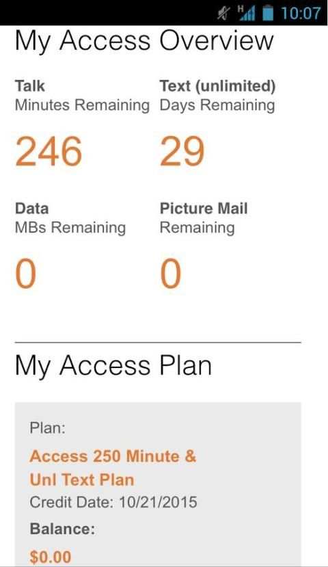 Access Wireless My Account скриншот 5