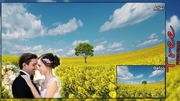 Transparent Tree Photo Frames скриншот 1