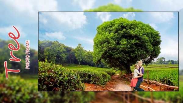 Transparent Tree Photo Frames скриншот 4