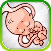 Pregnancy Weeks Growth Anemia Causes & Treatment