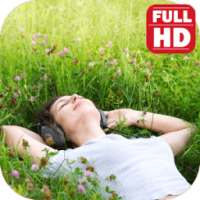 Relax Melodies Sleep Sounds. on 9Apps