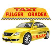 TAXI Fulger Oradea Client on 9Apps