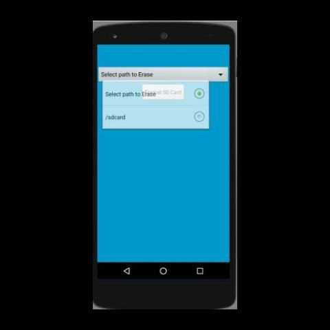 Erase SD Card screenshot 2