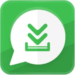 Whatsapp Story Saver 1.9