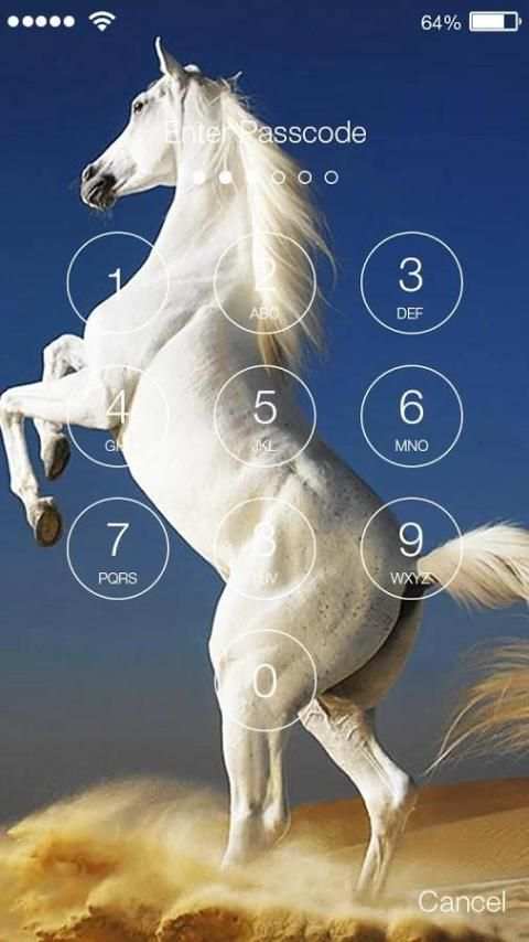 Horse PIN Lock скриншот 2