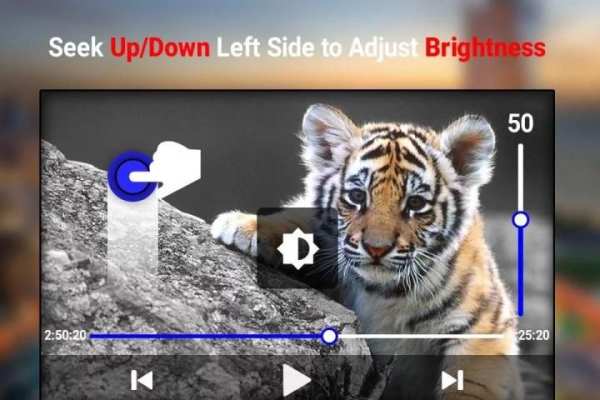 Max Video Player 2018 скриншот 4