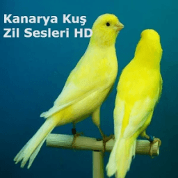 Kanarya Kuş Zil Sesleri HD icon