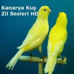 Kanarya Kuş Zil Sesleri HD 1.0