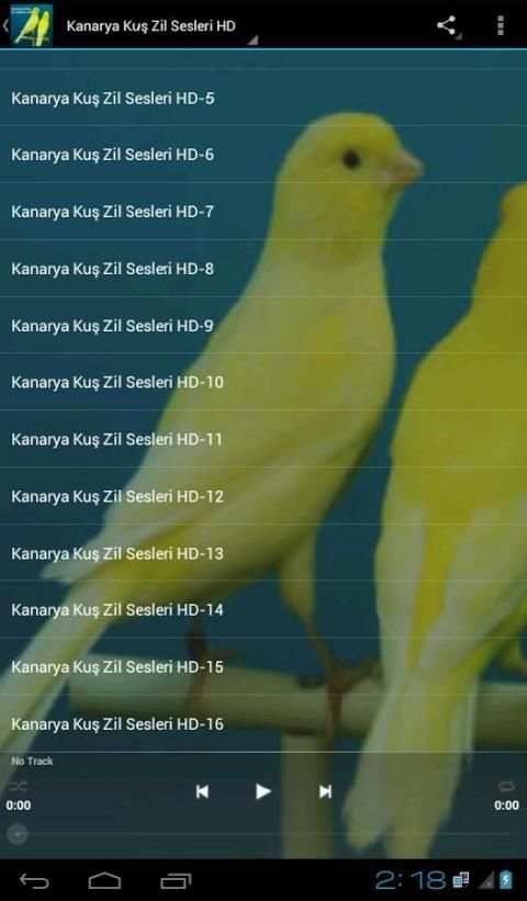 Kanarya Kuş Zil Sesleri HD screenshot 7