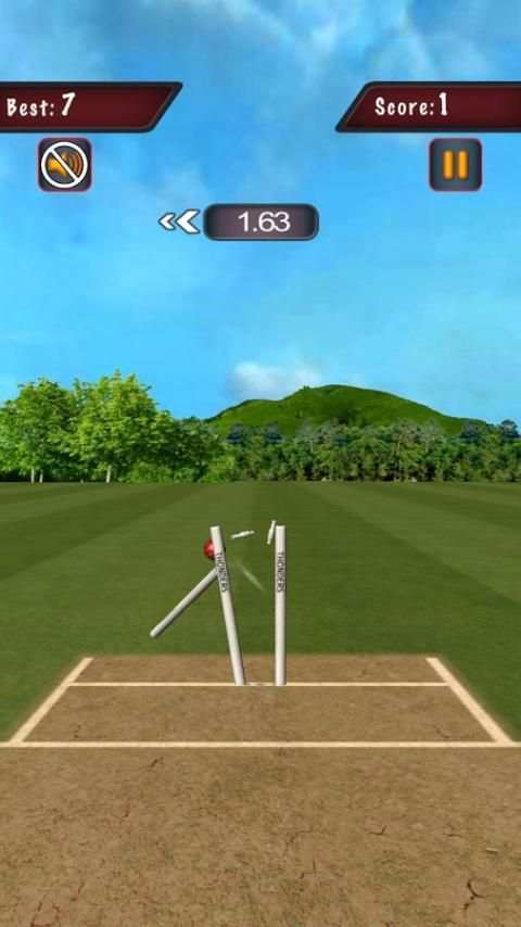 Flick Cricket 3D T20 World Cup screenshot 4