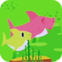 Video sogs baby shark on 9Apps