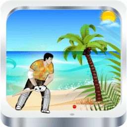 The Beach Cricket icon