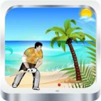 The Beach Cricket