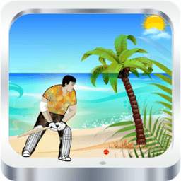 The Beach Cricket 1.1