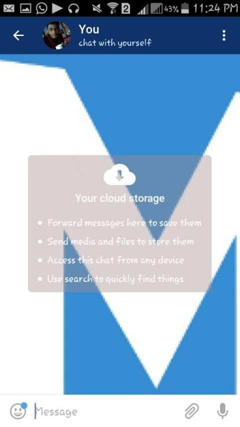 Mesogram screenshot 1