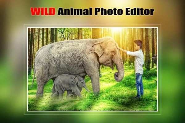 Wild Animal Photo Editor : Frame, Sticker, Effect 5 تصوير الشاشة