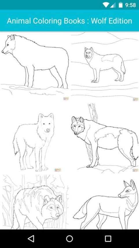 Animal Coloring For Children : Wolf Edition screenshot 6