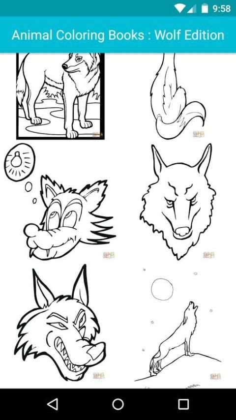 Animal Coloring For Children : Wolf Edition screenshot 5