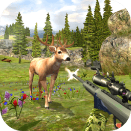 Deer Hunting Kill Shot أيقونة