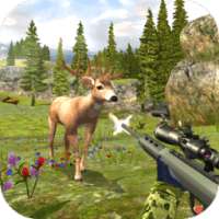 Deer Hunting Kill Shot