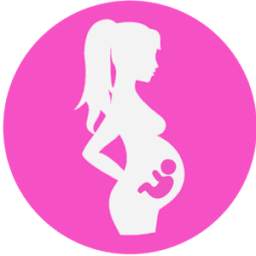 Pregnancy calculator