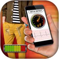 Metal Detector Simulator