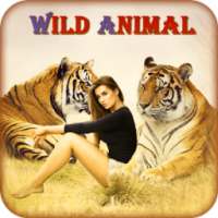 Wild Animal Photo Editor : Animal Photo Frames