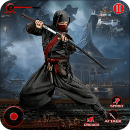 ikon Super Hero Ninja Saga