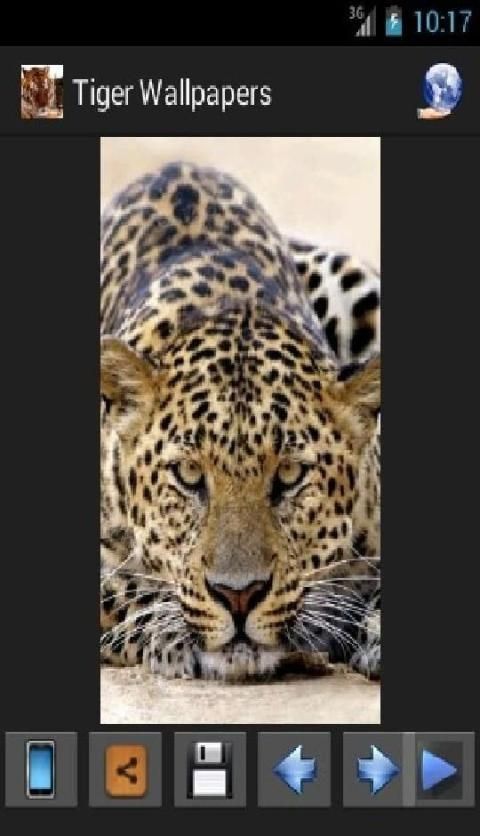 Tiger Wallpapers screenshot 2