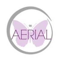 Go Aerial Fitness