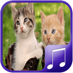 Cat Sounds – Cat Noises App иконка