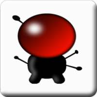 My VODOBOX Flash Server on 9Apps