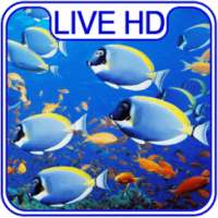 Aquarium Live Wallpaper & Lock screen on 9Apps