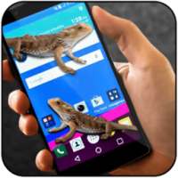 Lizard on phone screen funny joke