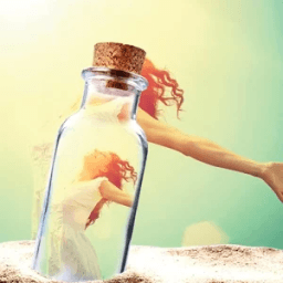 ikon Fantastic New PIP Camera - Photo Studio