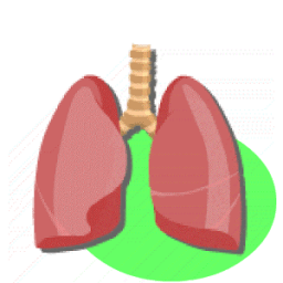 Lung Sounds иконка