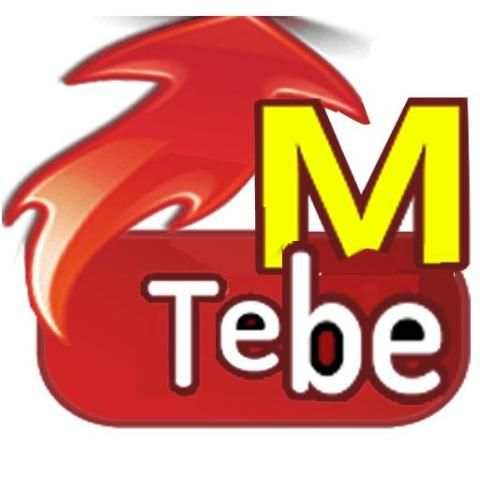 TebeMeti Tips 1 تصوير الشاشة
