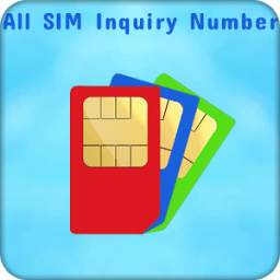 All SIM Inquiry For Mobile