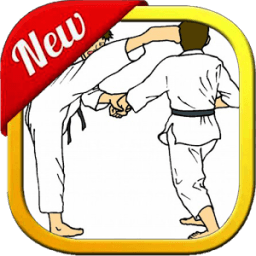 ikon Learn Taekwondo