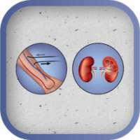 Kt/V (Daugirdas) Calculator