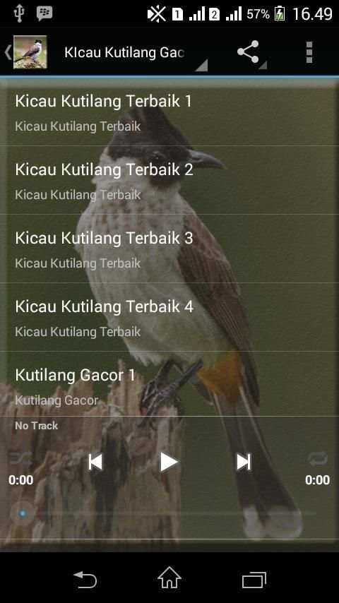 Master Burung Kutilang Gacor screenshot 4