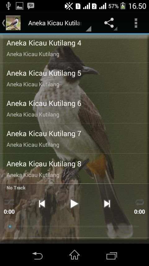 Master Burung Kutilang Gacor screenshot 2