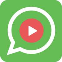 Video Status - Whats App Status