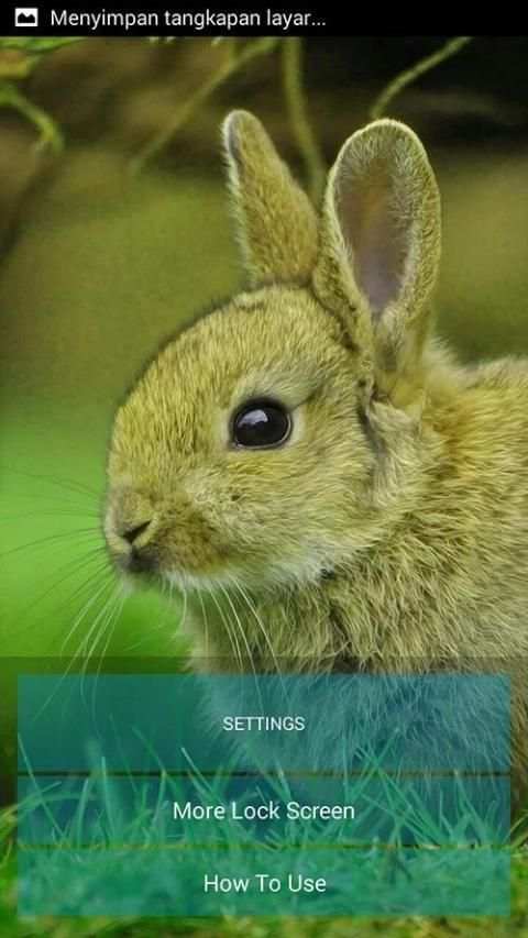 Rabbit Pop Lock Screen screenshot 8