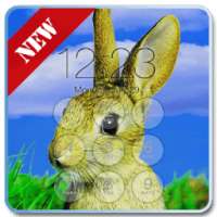 Rabbit Pop Lock Screen on 9Apps