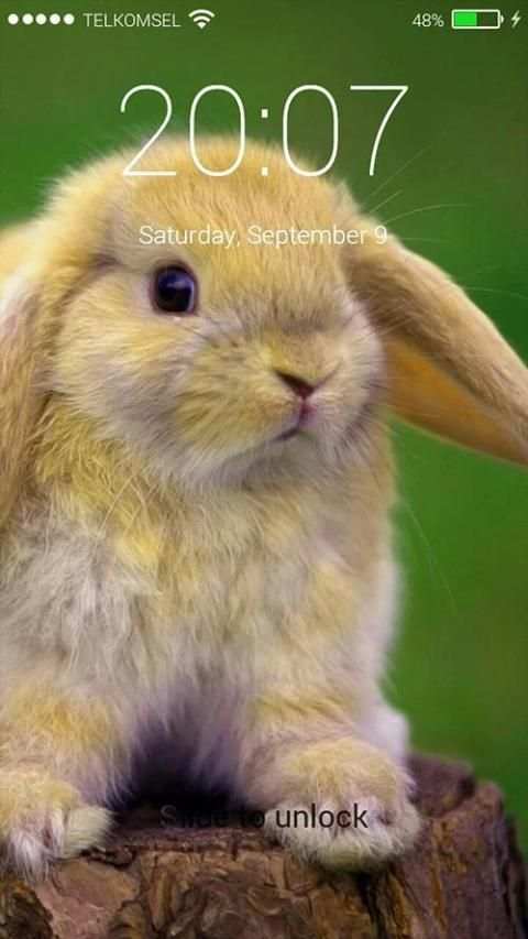 Rabbit Pop Lock Screen screenshot 7